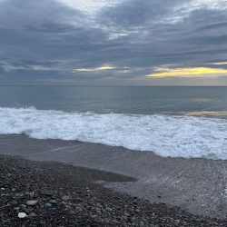 高活性の魚にはマキマキ！