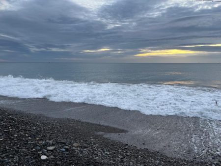 高活性の魚にはマキマキ！