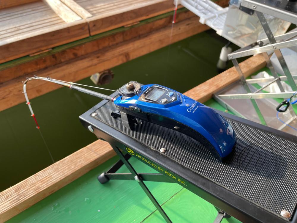 花山湖ドーム船ワカサギ