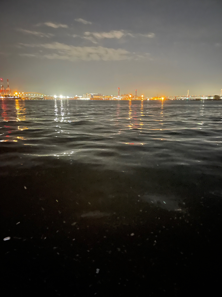 アジゲーサバゲー