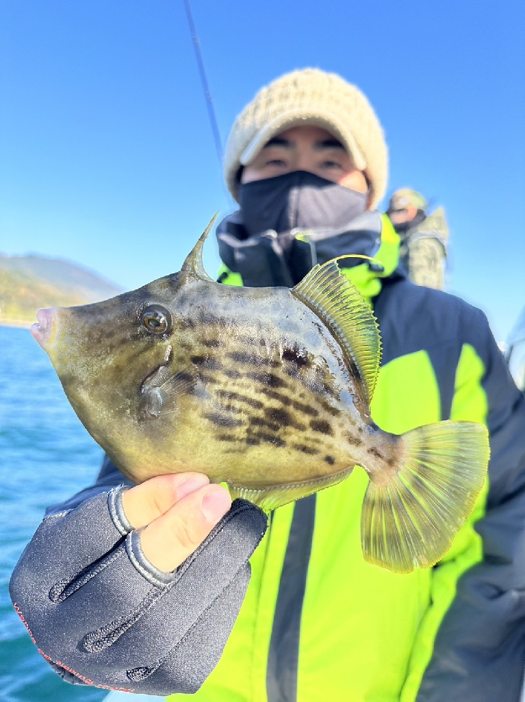 初のカワハギ釣り