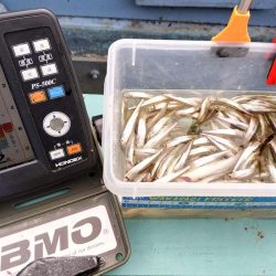 諏訪湖ワカサギ釣り！【第３戦】