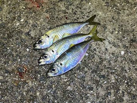 無限ではなかった豆ラッシュ