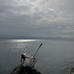 たかたかの釣り日記