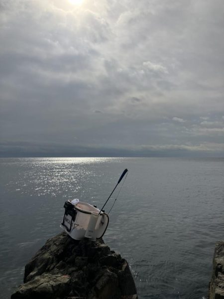たかたかの釣り日記