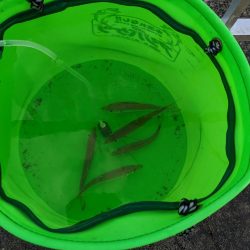 強風飲ませ釣り（ニョキニョキ）