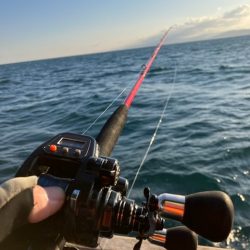 泉州丸さんで太刀魚