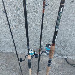 プチsalt water game