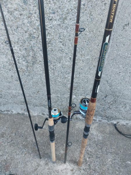 プチsalt water game