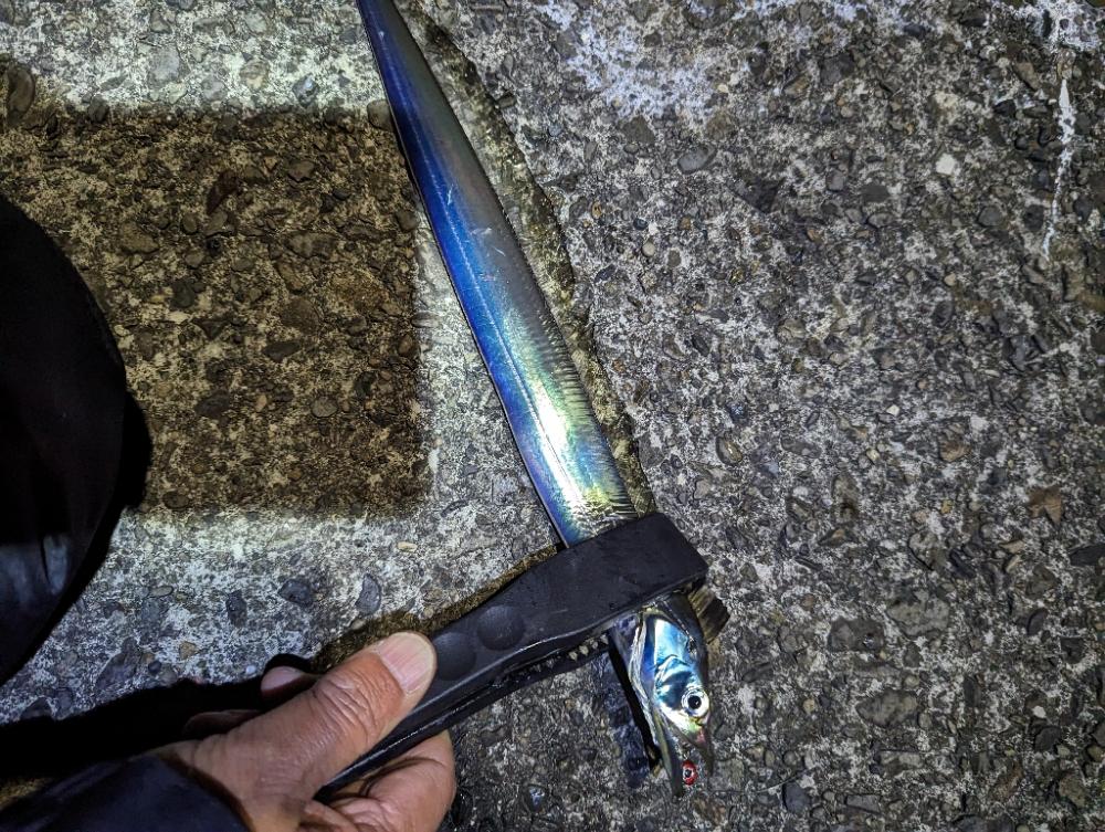 陸っぱり釣行記