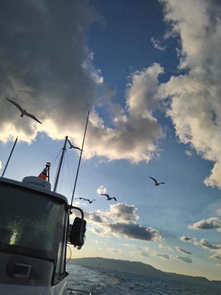 待望のサワラ&初クログチ