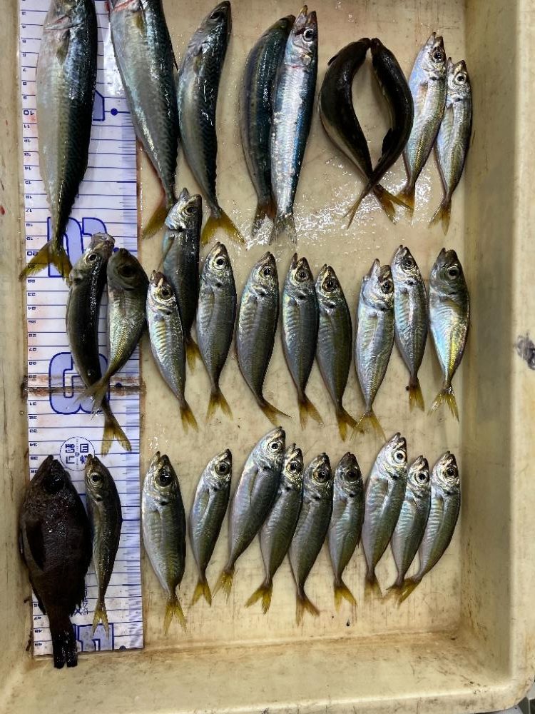 ひゃあぁ～！すっご～～いっ！！大人になった初体験。