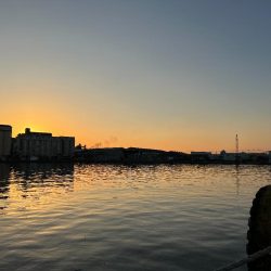 調達指令!でも何かもったいないような気がして・・・