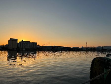 調達指令!でも何かもったいないような気がして・・・