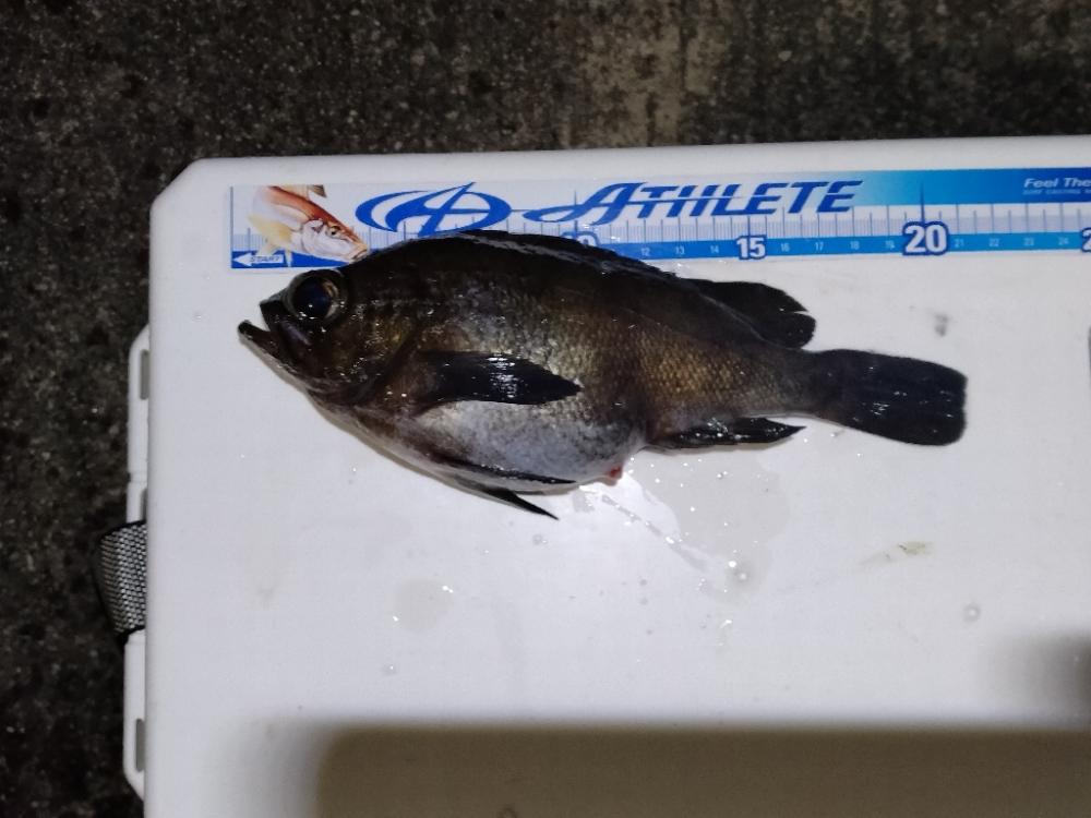 フロートメバリング