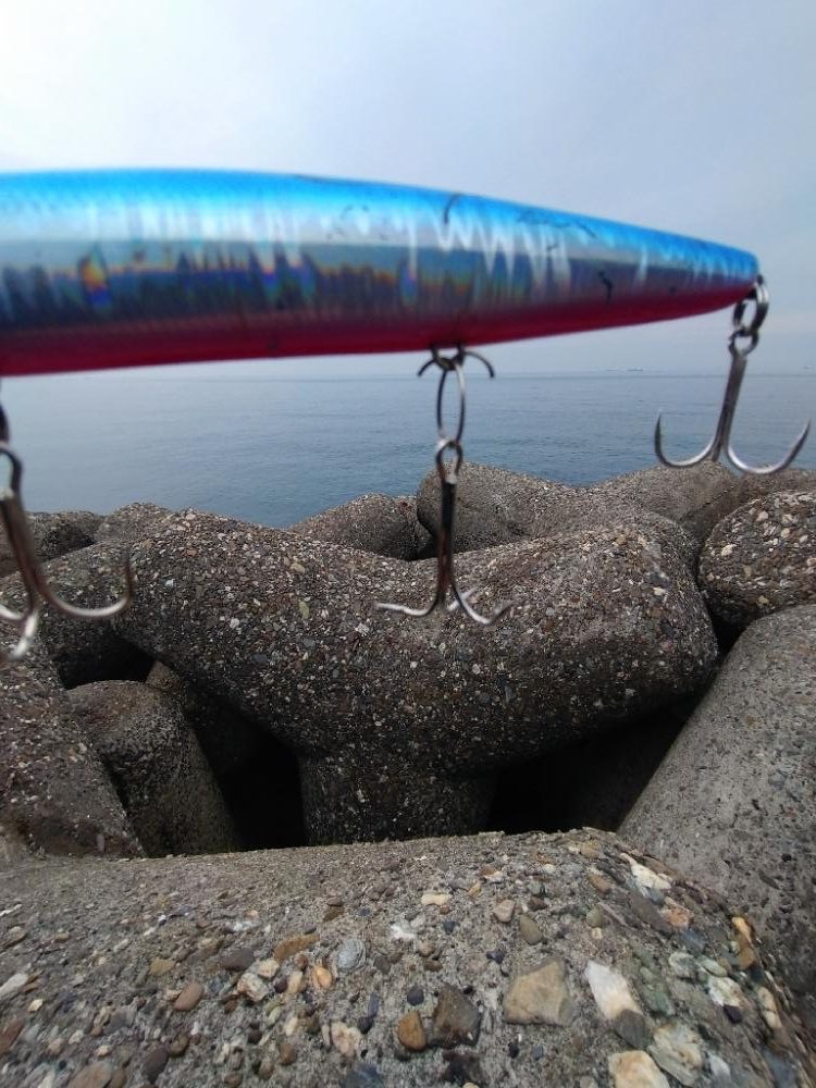 メジロ回遊してます！