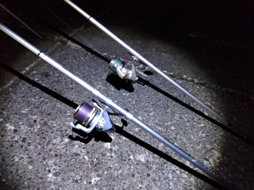 苅屋海岸のキス釣り