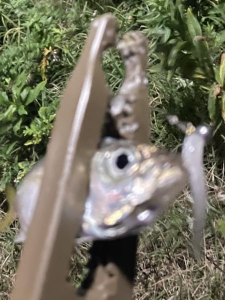 ジグ単deアジング♪爆風後終盤の逆襲！