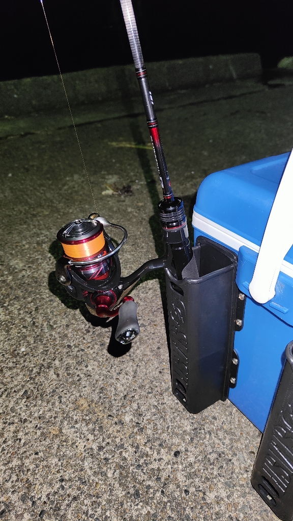 久々のアジング