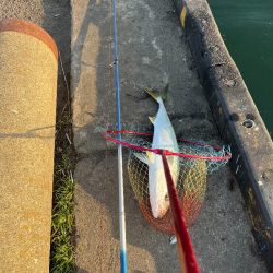 絶叫!さぁ~きて・・最高よ~!!たまんない…