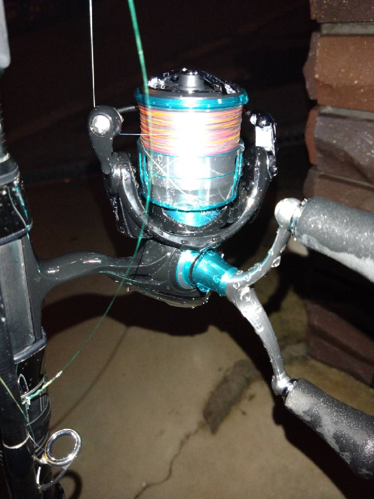 久々のアオリGET!即席タックルで苦笑