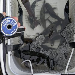 サンラインカップ磯 2022 in 串本大会