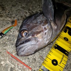 超渋だねスズキさん！