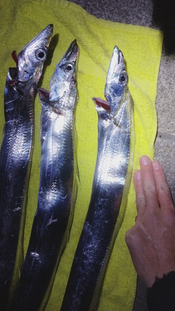 そういえば流星群