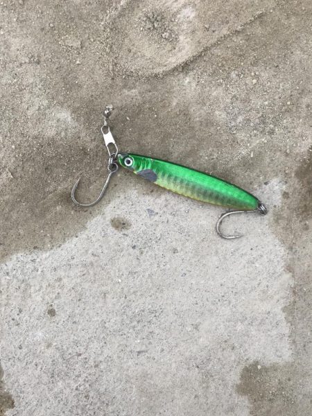 メタルジグで太刀魚&カマスGET