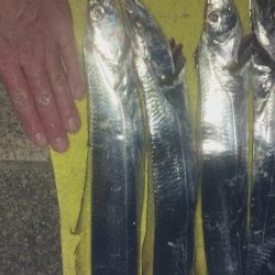 外は自然の冷蔵庫