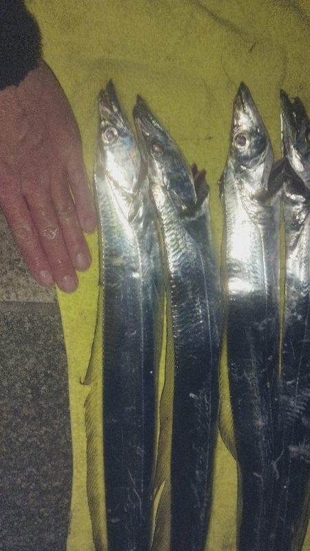 外は自然の冷蔵庫