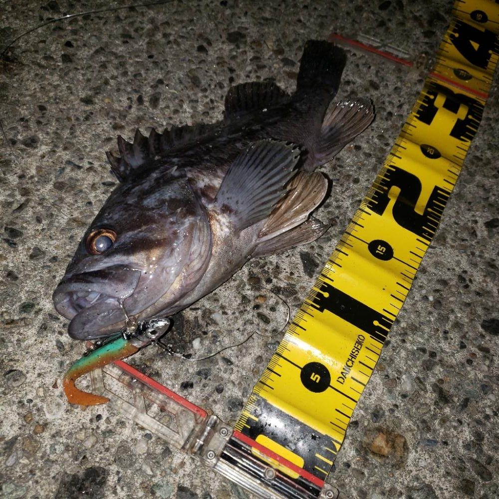 鬼渋だねスズキさん!