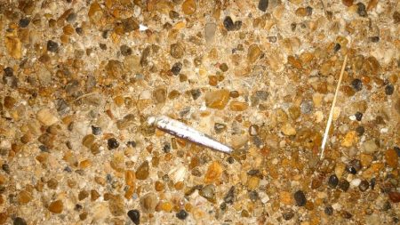 毎回同じ様にはならない