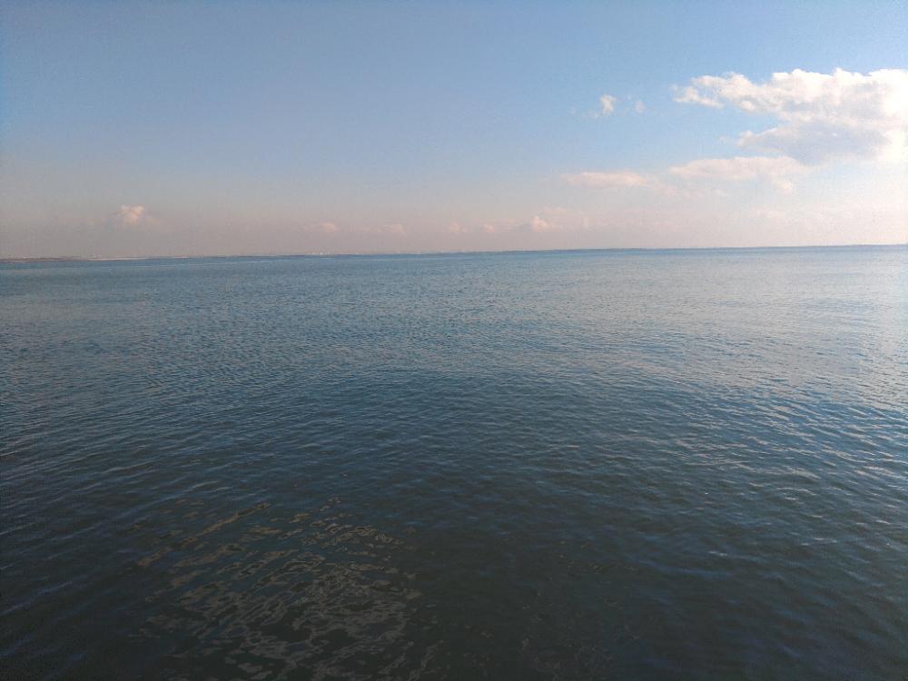 久しぶりの釣果♪