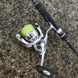 ライトワインドでカマス&太刀魚GET