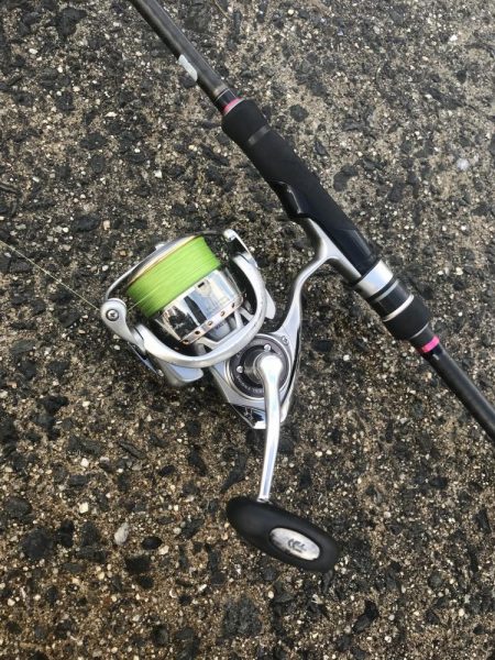 ライトワインドでカマス&太刀魚GET