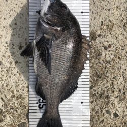 イチノ兄弟(兄)釣果!