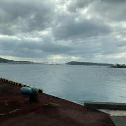 初めての沖縄！