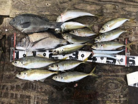 悪天候の合間の晴れの日