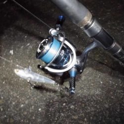 まだまだゴミは多め…