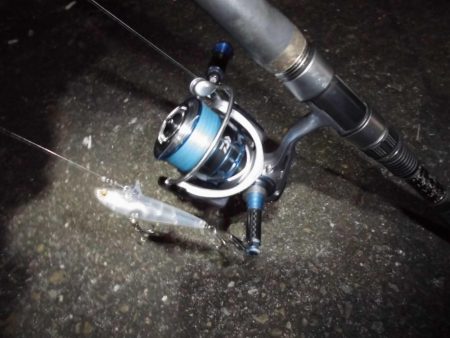 まだまだゴミは多め…