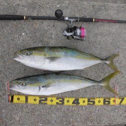 スローな動きが◎