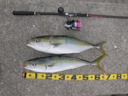 スローな動きが◎