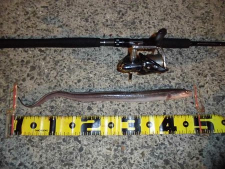 爆風の中でのアナゴ釣り