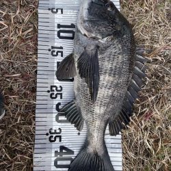 イチノ兄弟(兄)釣果!