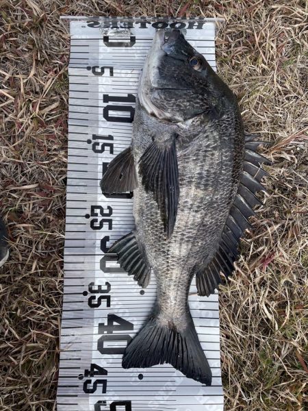 イチノ兄弟(兄)釣果!