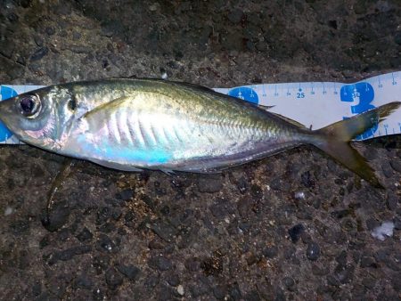 今年のラストは？