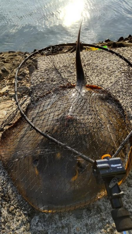 久しぶりの紀ノ川飲ませ