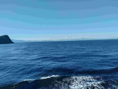 2022年納竿釣行伊豆大島