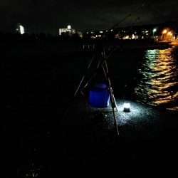 アナゴ食べたい